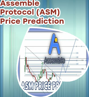 Assemble protocol crypto