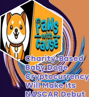 Baby dogecoin crypto