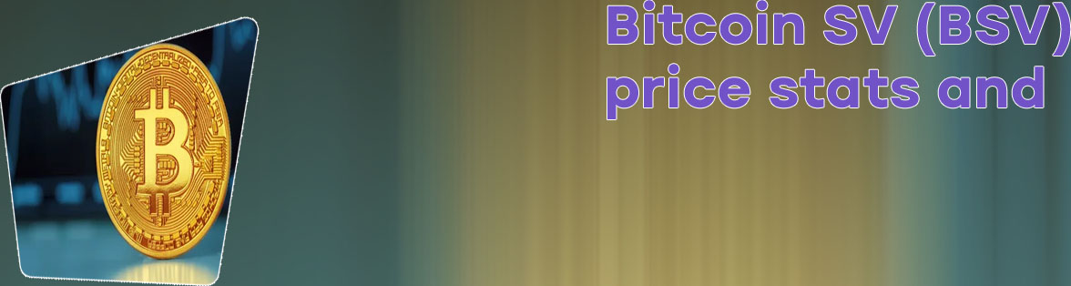 Bitcoinsv price