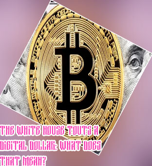 Dollar to bitcoin