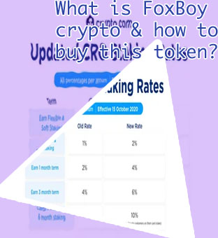 Foxboy crypto
